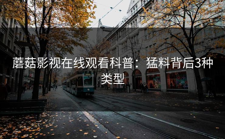 蘑菇影视在线观看科普：猛料背后3种类型