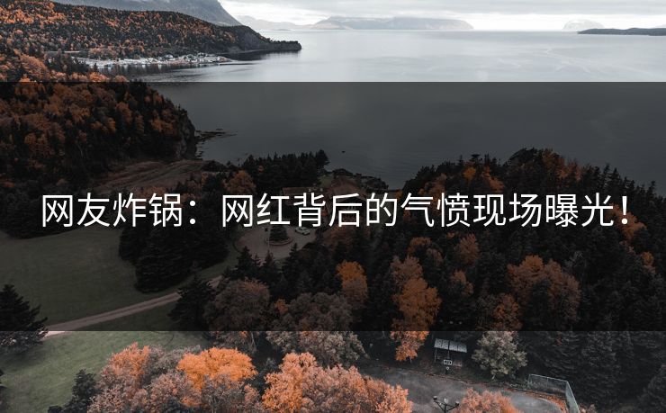 网友炸锅：网红背后的气愤现场曝光！