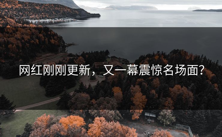 网红刚刚更新，又一幕震惊名场面？