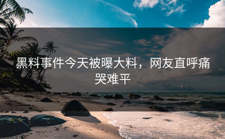 黑料事件今天被曝大料，网友直呼痛哭难平