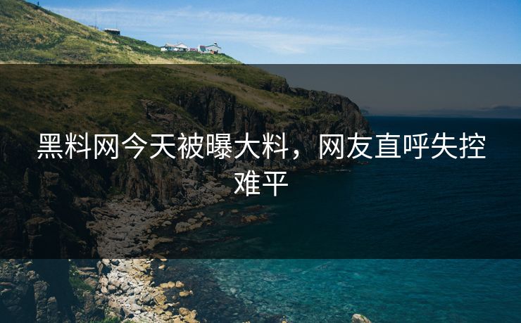 黑料网今天被曝大料，网友直呼失控难平