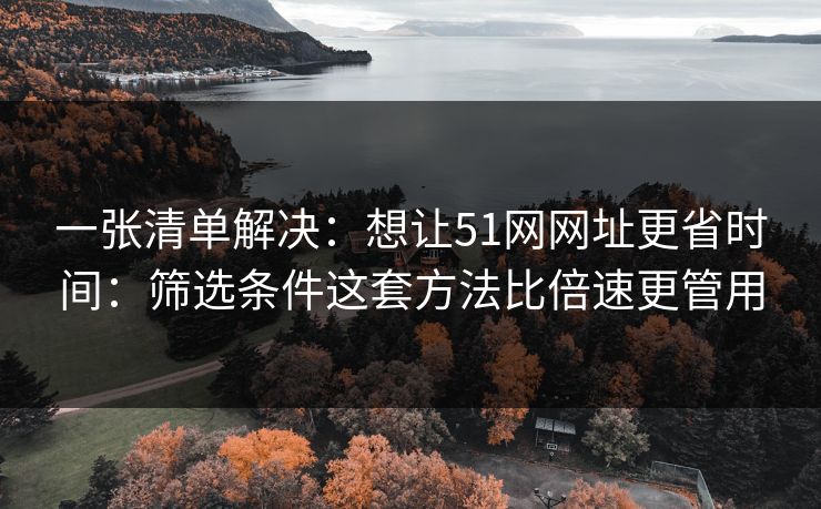 一张清单解决：想让51网网址更省时间：筛选条件这套方法比倍速更管用